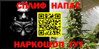 сатива Будённовск