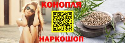 сатива Будённовск