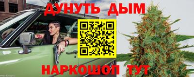 сатива Будённовск